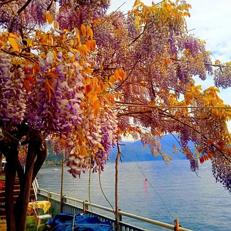 Bed & Breakfast Trattoria Della Cascata 3*