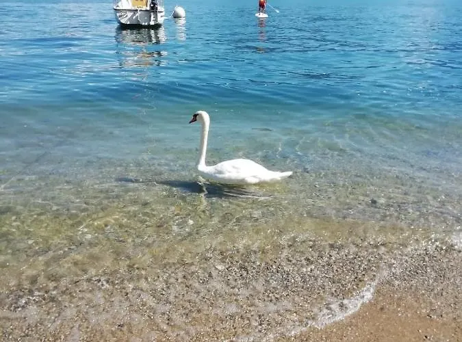 Trattoria Della Cascata B&B